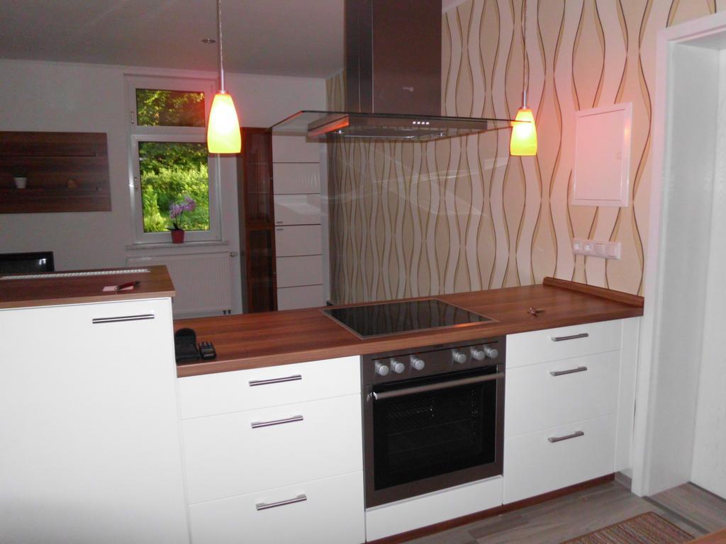 Apartment Leucht Ziegenrück Zewnętrze zdjęcie